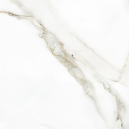 CALACATTA PULIDO - 1,44 M2 - 120X120 - VITE